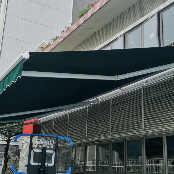 aluminum alloy telescopic curved arm awning