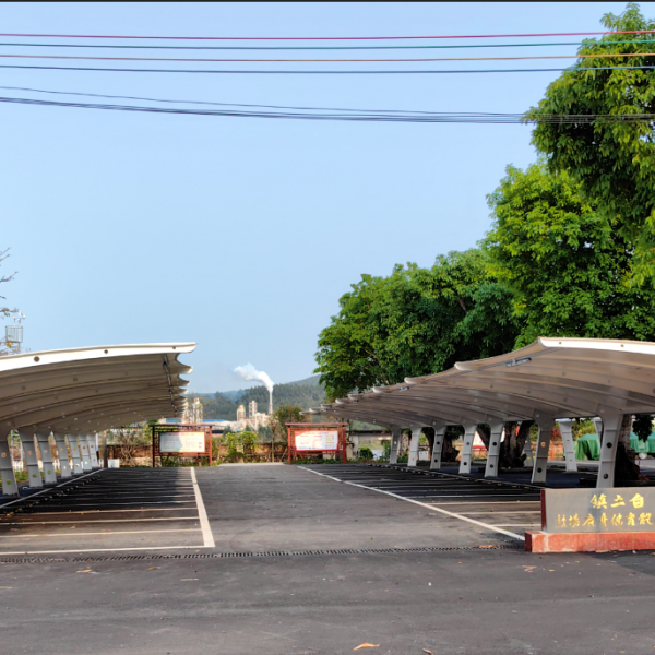 Customized parking shed